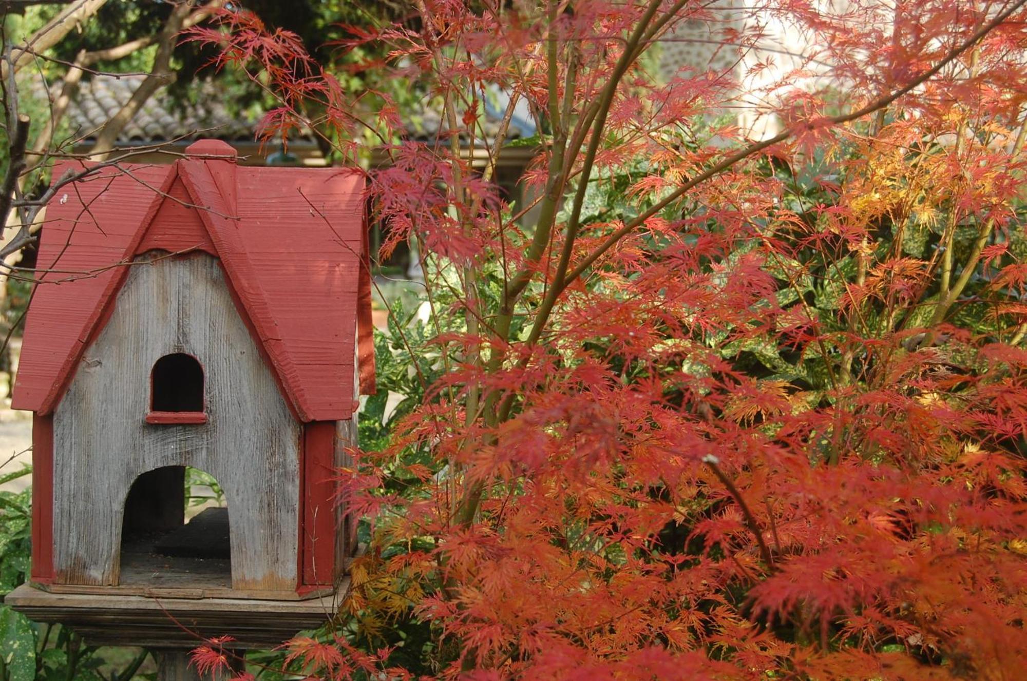 Bed and Breakfast Le Mas Des Clots Upie Exterior foto