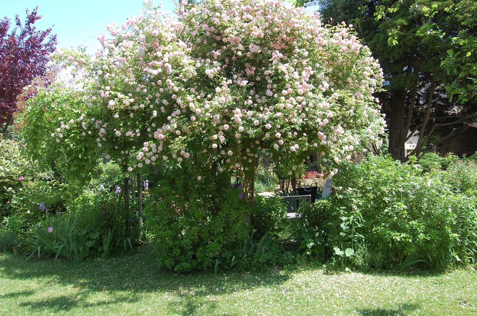 Bed and Breakfast Le Mas Des Clots Upie Exterior foto